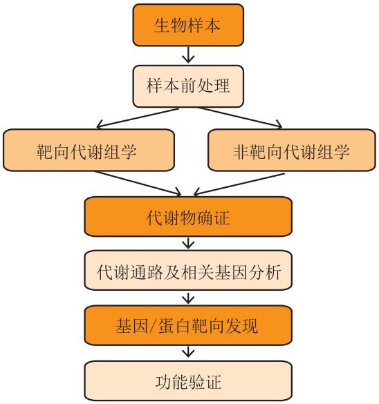 靶向與非靶向代謝組學解析